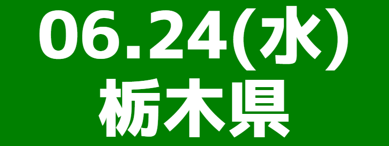 06月24日（水）栃木県スポーツウエルネス吹矢大会