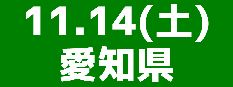 11月14日（土）第12回スポーツウエルネス吹矢東海ブロック大会 
